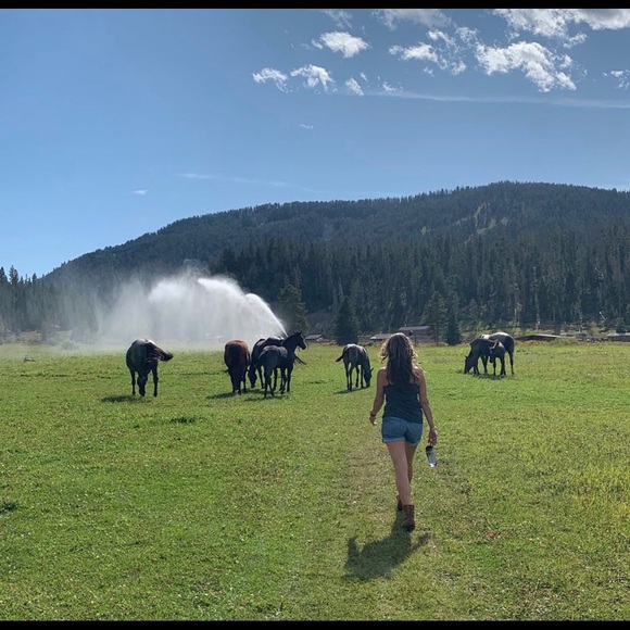 Meet your Posher, Nejline - Picture 4 of 4